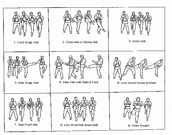 [Drawings of Kicking Techniques]